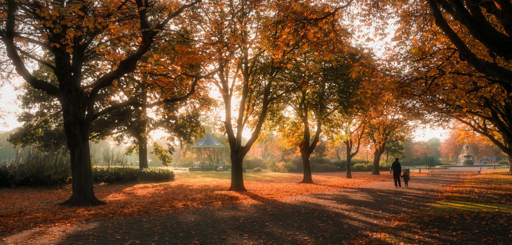 Hazy sunlight through autumn trees at Albert Park
