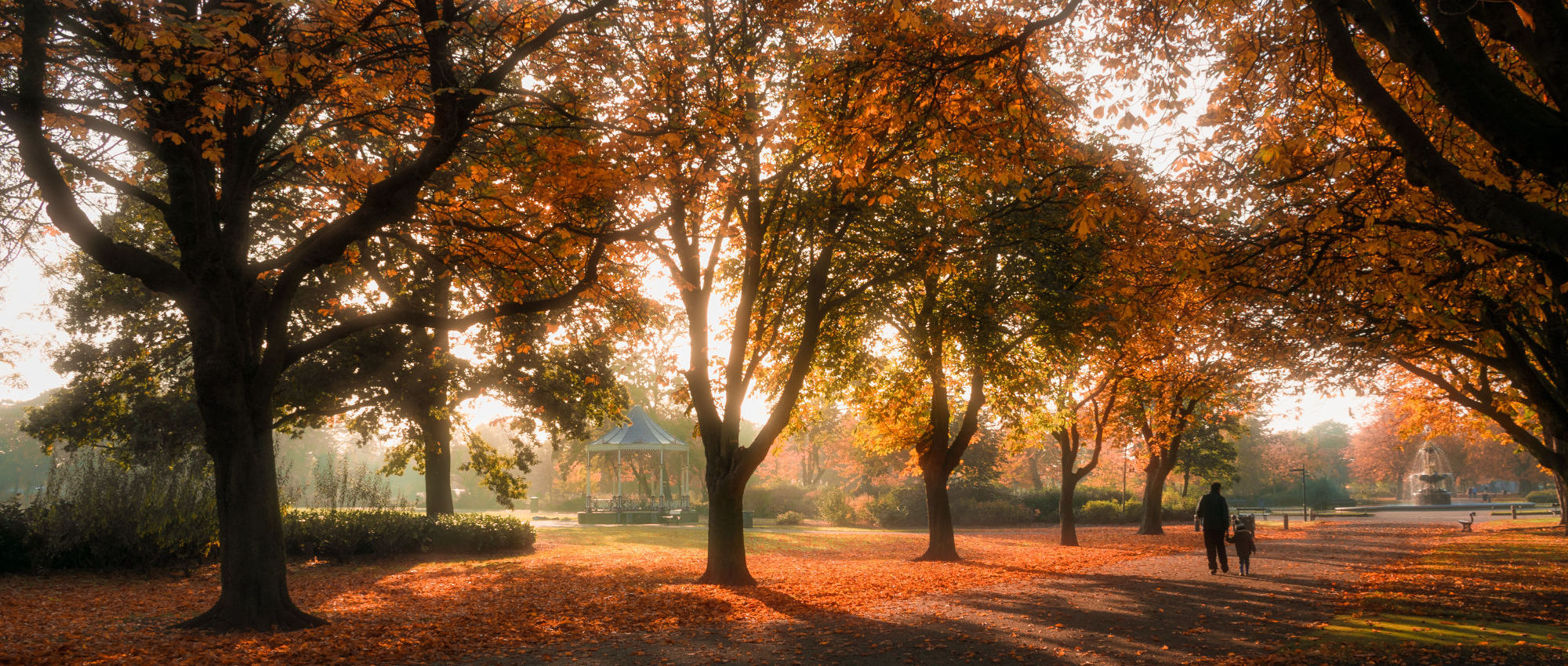 Albert Park in the autumn